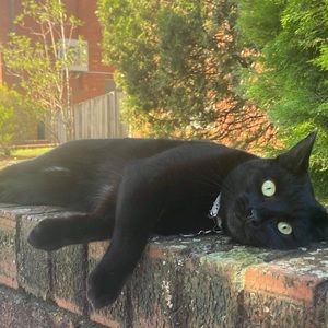 Meet your Posher, Yelena